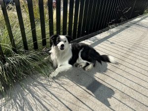 IMG 0146 Velky