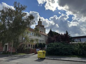 IMG 0208