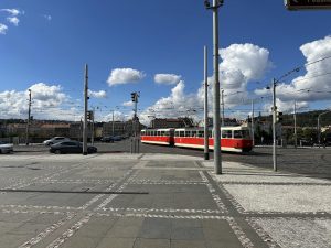 IMG 0233