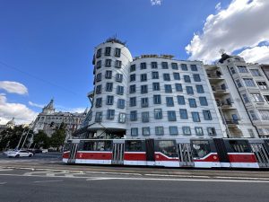 IMG 0238