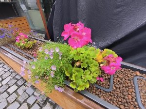 P 20220927 135508
