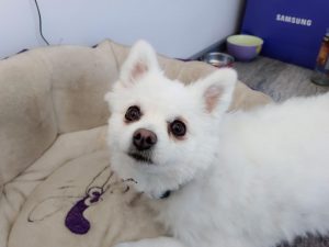 IMG 20221006 170817