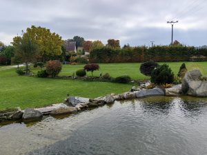 IMG 20221007 152926