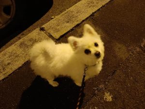 IMG 20221010 231607