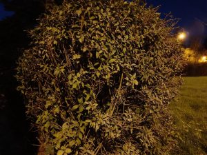 IMG 20221010 231647
