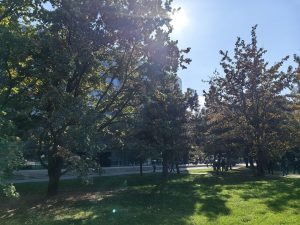 IMG 20221012 123803
