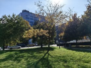 IMG 20221012 124107