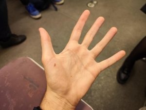 IMG 20221017 154749