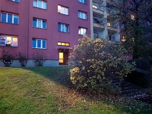 IMG 20221024 181408