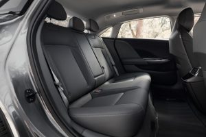 16 pure backseat full
