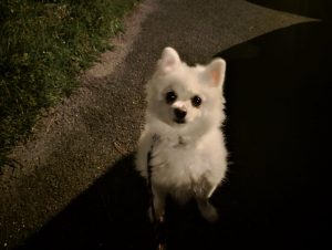 IMG 20221101 235003
