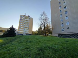 IMG 20221102 075434 HDR