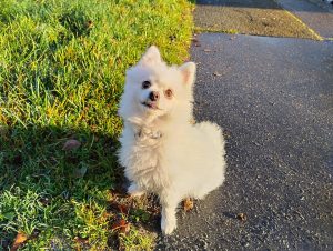 IMG 20221102 075555 HDR