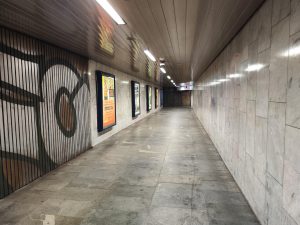 IMG 20221117 135040