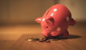 setreni save money prase pig unsplash