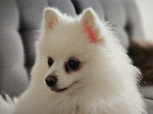 IMG 20230218 121801