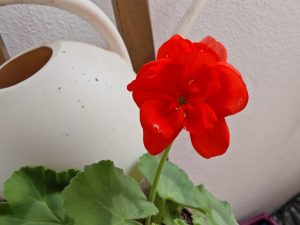 IMG 20230224 151925