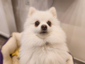 IMG 20230224 171555