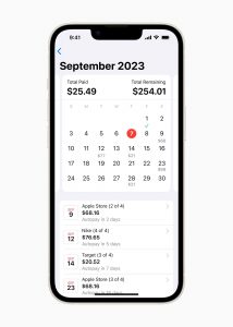 Apple Pay Later calendar view