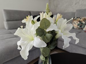 IMG 20230106 191137