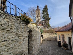 IMG 20230228 124905