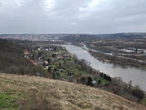 IMG 20230311 155018