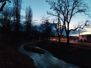 IMG 20230311 181134
