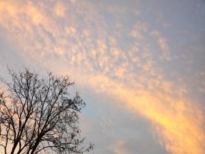 IMG 20230313 180246