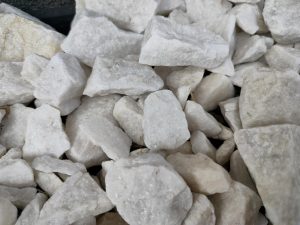IMG20230415103418