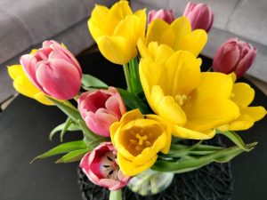 IMG20230415103524