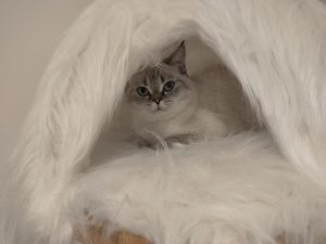 IMG20230415103938