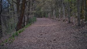 IMG 20230412 200401966