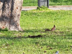 IMG 20230419 085724