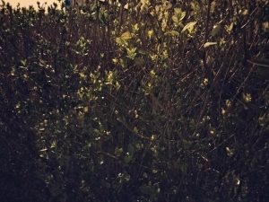 IMG 20230420 234702