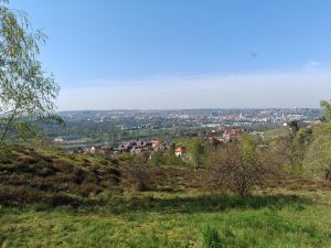 IMG 20230422 100957