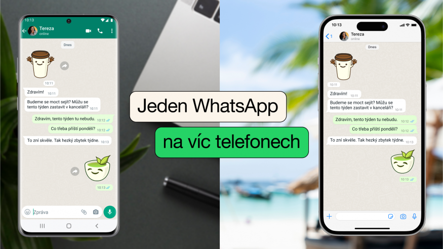 WhatsApp vice telefonu