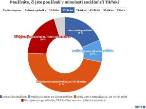 tiktok pruzkum 14