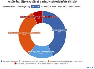 tiktok pruzkum 15