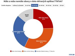 tiktok pruzkum 5
