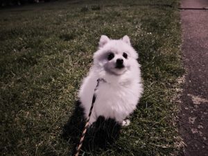 IMG 20230405 223502