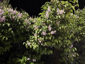 IMG 20230509 224104