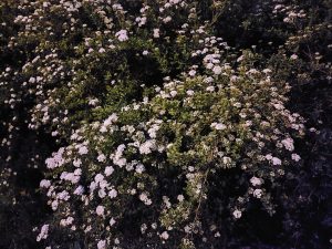 IMG 20230512 213050