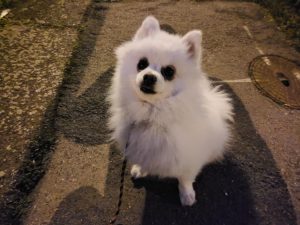 IMG 20230512 213202