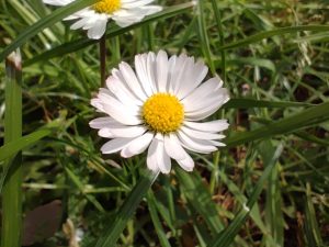 IMG 20230514 101726