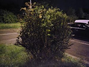 IMG 20230516 233926