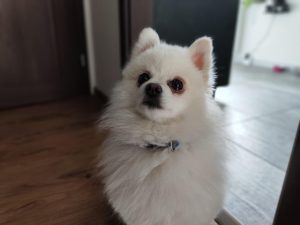 IMG 20230517 151947