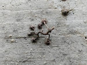 IMG 20230517 162826