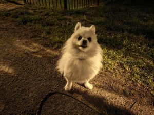 IMG 20230517 223929