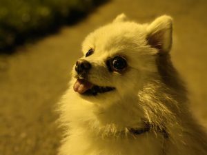 IMG 20230517 225211
