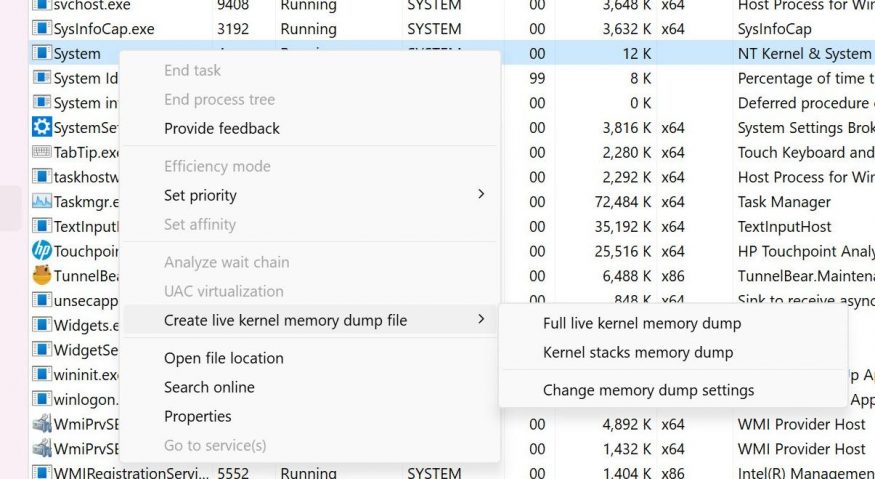 kernel dump